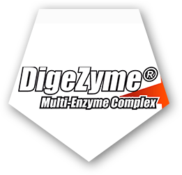 Detoxyn DigeZyme